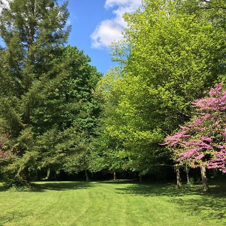 Chateau De Re Le Petit-Pressigny Bagian luar foto