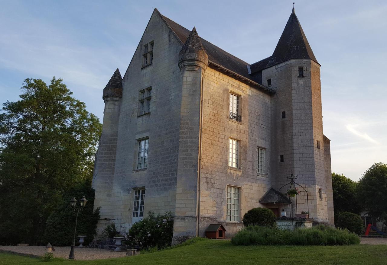 Chateau De Re Le Petit-Pressigny Bagian luar foto